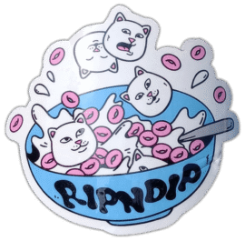 RIPNDIP wanted sticker spotted in Prešov in 2026