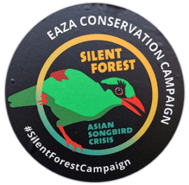 Street sticker by EAZA