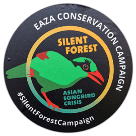 Street sticker by EAZA