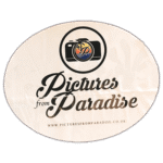 Street sticker by Pictures from Paradise