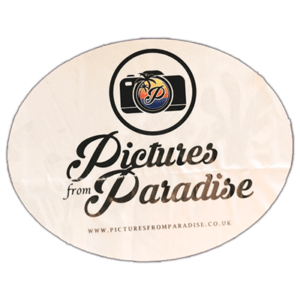 Street sticker by Pictures from Paradise