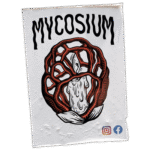 Mycosium street sticker