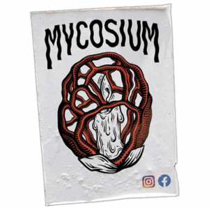 Mycosium street sticker