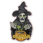 Shaman wanted street sticker