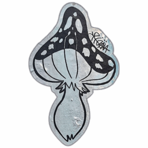 unknown wanted street sticker