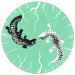 Salamander wanted sticker