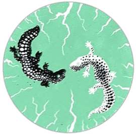 Salamander wanted sticker