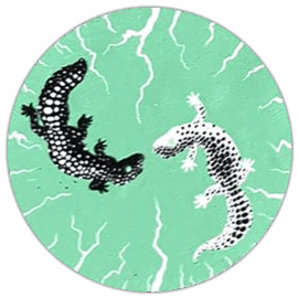 Salamander wanted sticker
