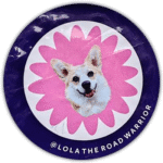 Lola wanted street sticker