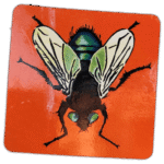 Fly wanted street sticker