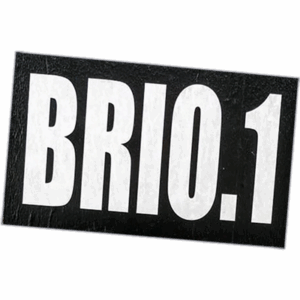BRIO.1 wanted street sticker