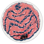 "Meaysm" wanted street sticker