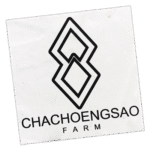 Chachoengsao wanted street sticker