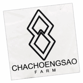 Chachoengsao wanted street sticker