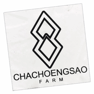 Chachoengsao wanted street sticker