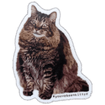 youvebeenkittyd wanted street sticker