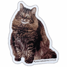 youvebeenkittyd wanted street sticker