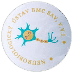 BMC SAV wanted street sticker spotted in Prešov in 2025