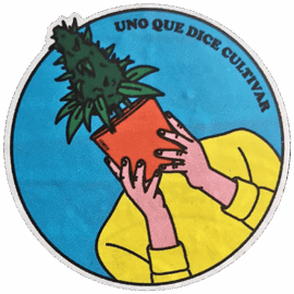 UQDC wanted sticker spotted in Bangkok in 2025