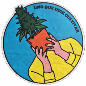 UQDC wanted sticker spotted in Bangkok in 2025