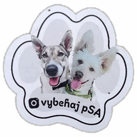 Vybehaj Psa sticker spotted in Prešov in 2025