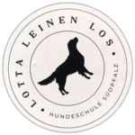 Lotta Leinen Los wanted sticker spotted in Bangkok in 2025