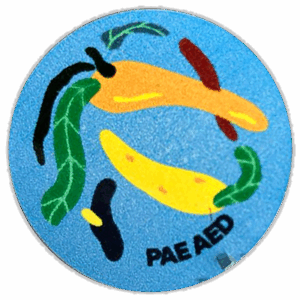 Pae Aed wanted sticker spotted in Tallinn in 2024
