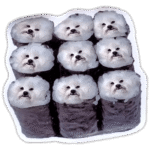 Sushi dogs wanted sticker spotted in Prešov in 2025