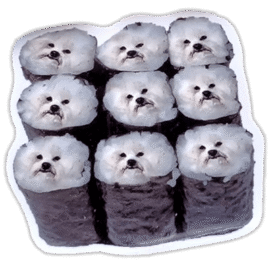 Sushi dogs wanted sticker spotted in Prešov in 2025