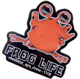 Frog Life sticker was spotted in Prague in 2025