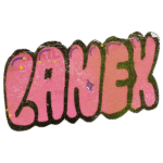 Lanex wanted sticker spotted in Prešov in 2025
