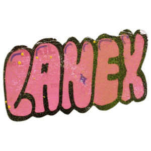 Lanex wanted sticker spotted in Prešov in 2025