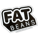 Fat Beans wanted sticker spotted in Marrakesh in 2026