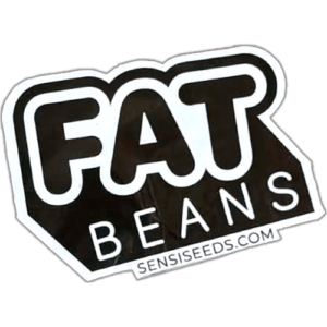 Fat Beans wanted sticker spotted in Marrakesh in 2026