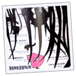 Jimzina wanted sticker spotted in Košice in 2026