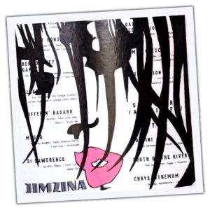 Jimzina wanted sticker spotted in Košice in 2026