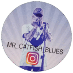 Mr. Catfish Blues sticker spotted in Prague in 2026