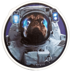 Unknown sticker spotted in Bangkok in 2025