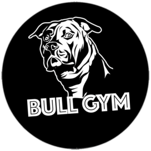 Bull Gym sticker spotted in Prague in 2026