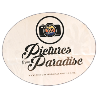 Street sticker by Pictures from Paradise