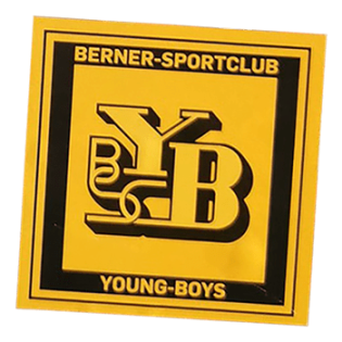 Street sticker by Berner Sportclub Young Boys