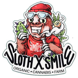 Street sticker by Sloth X Smile