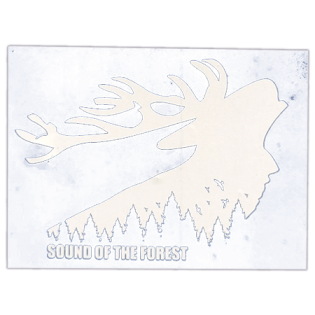 Street sticker by Sound of the Forest