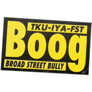 Boog wanted street sticker