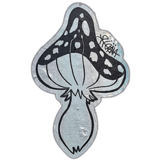 unknown wanted street sticker