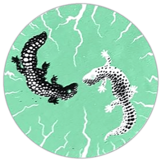 Salamander wanted sticker