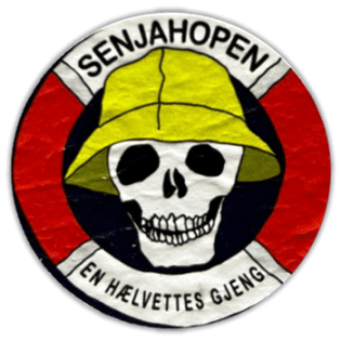 Senjahopen wanted street sticker