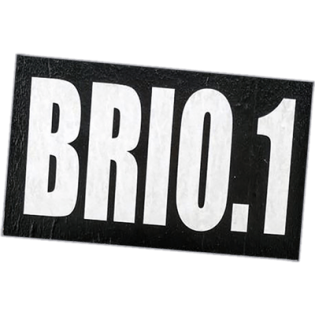 BRIO.1 wanted street sticker