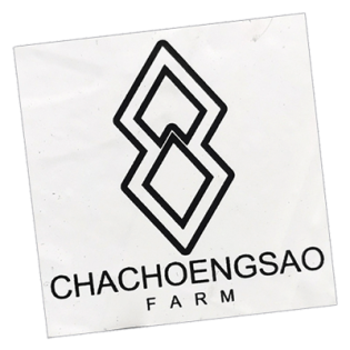 Chachoengsao wanted street sticker