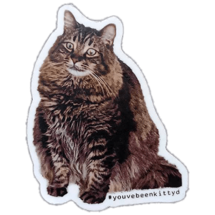 youvebeenkittyd wanted street sticker